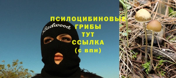 синтетический гашиш Алексеевка