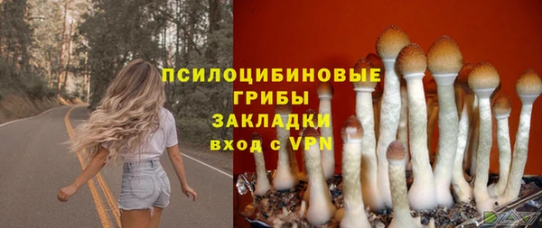 синтетический гашиш Алексеевка