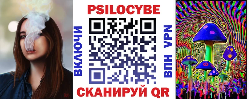 Псилоцибиновые грибы Psilocybe Лысково